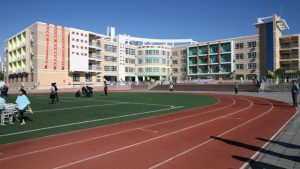 university