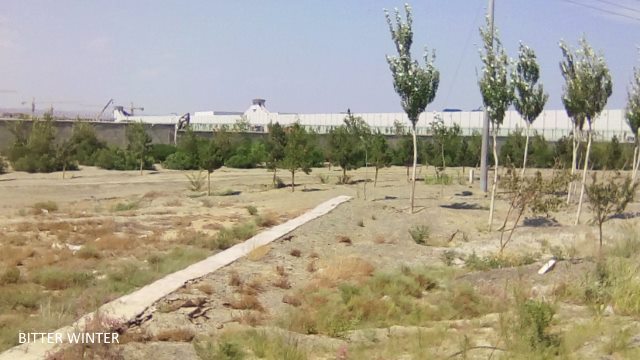 지하 감옥,재교육 수용소, 