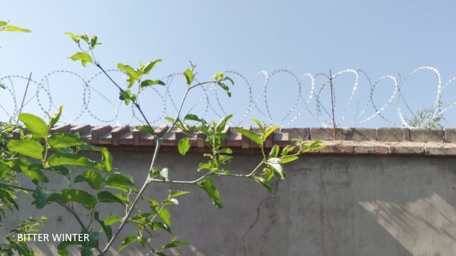 보안 철망