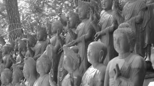 buddha-statues