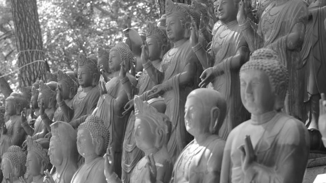 buddha-statues