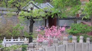 jinlong-bridge