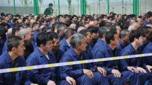 재교육 수용소