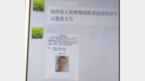위챗 게시물