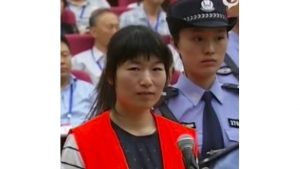 Zhang Fan