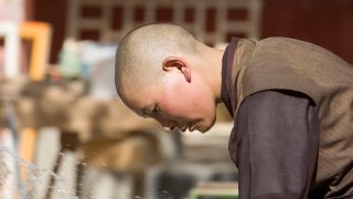 신장 교육캠프 강간 사건: 티베트에 선례가 있다